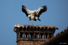 Racconigi Italia 04 2023 Racconigi Italia 04 2023