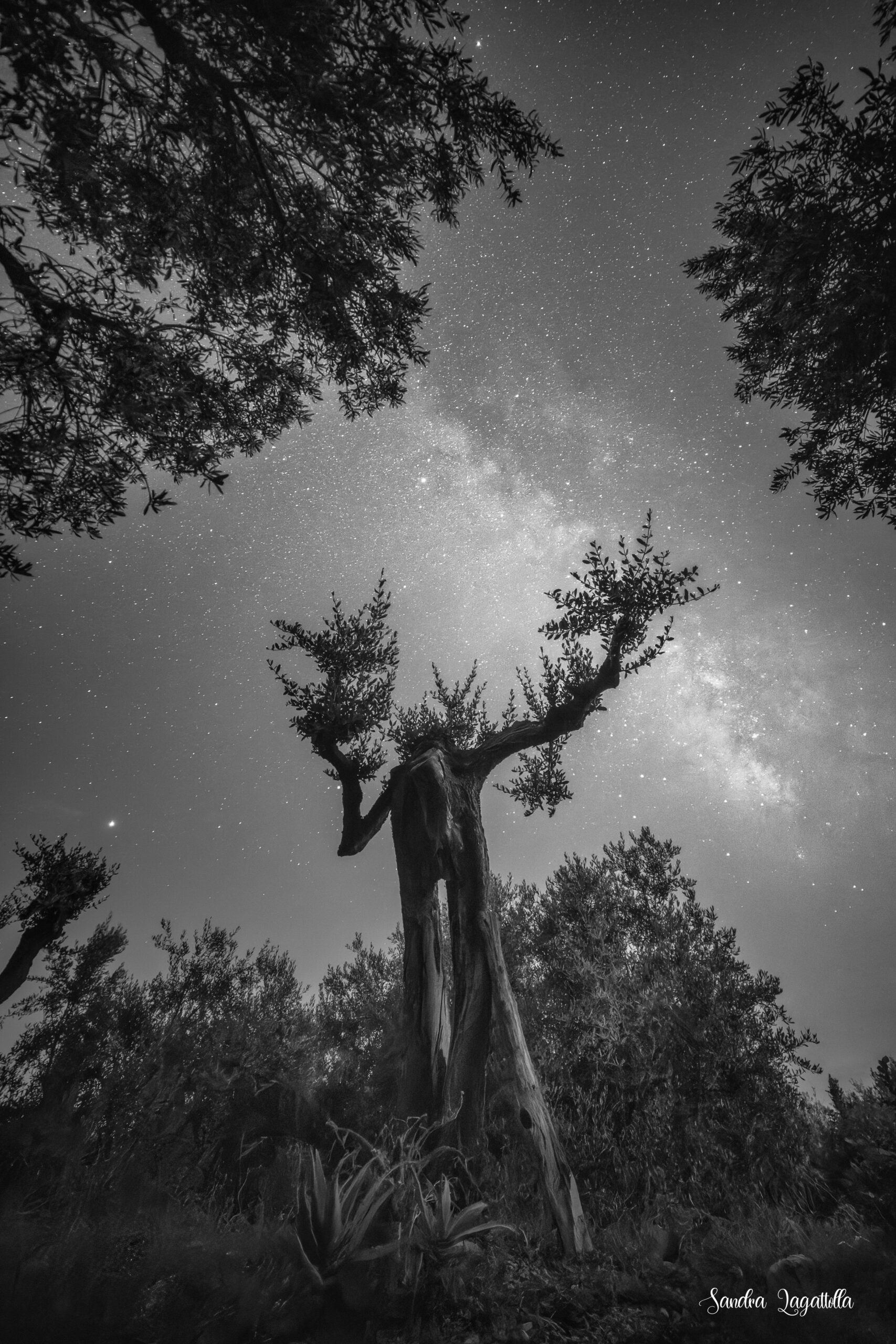 Via lattea / Milchstrasse Varigotti